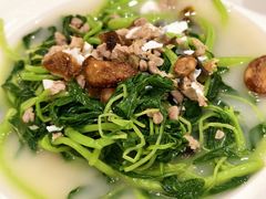 上汤苋菜-稻香酒家·35年老字号(侨光店)