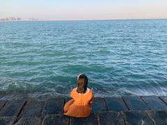 -海堤纪念公园