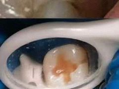 -兔博士口腔(高新一路门诊部)