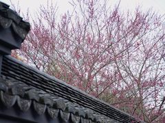-钱王祠