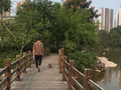 -龙头寺公园