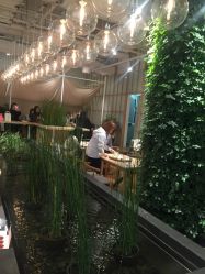-悦诗风吟innisfree