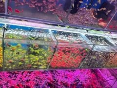 -双季花艺园艺市场(浦东店)