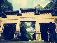 -灵谷景区