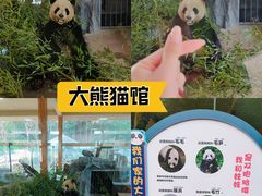 -云南野生动物园