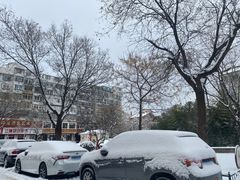 -乐天拉面(桃花街店)