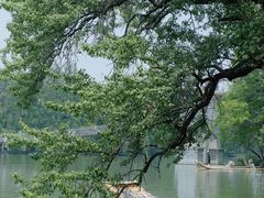 -东湖落雁景区