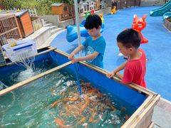 -上海崇明金茂凯悦酒店