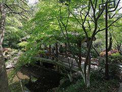 -杭州半山国家森林公园