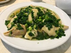 -凤城礼记鱼翅海鲜酒家(新马路总店)