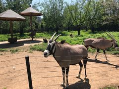 -大连森林动物园