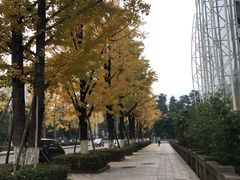 -百林公园-两江幸福广场