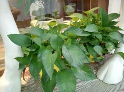 -时间海科学美容