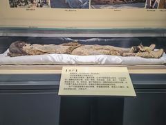 -巴音郭楞蒙古自治州博物馆