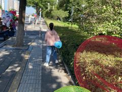 -圩墩遗址公园