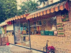 -柴犬高等学院·狗咖·柴犬售卖·宠物训练