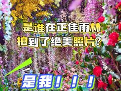-正佳雨林生态植物园