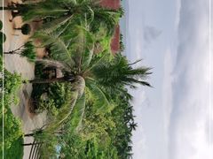 -三亚海棠湾万丽度假酒店