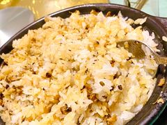 -煲来饱去冷水鱼