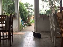 iphone_upload_pic-海边的猫和咖啡馆