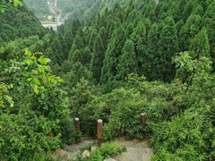 -娄山关景区