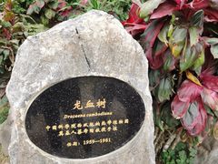 -中国科学院西双版纳热带植物园