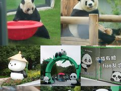 -无锡动物园·太湖欢乐园