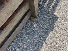 -前小桔亲子创意农场·草莓采摘·露营烧烤