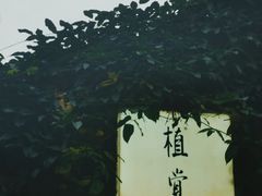-植觉