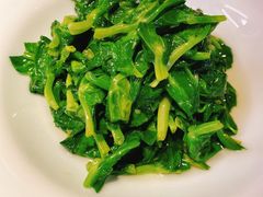 清炒豌豆尖儿-晟永興烤鸭店(五道口店)