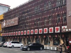 -张氏鱼庄