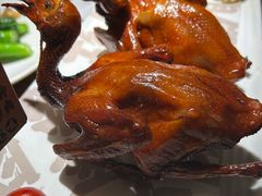 -大鸽饭(岗顶店)