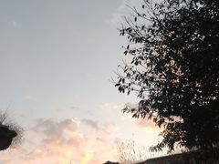 -威邵鸡煲(西华路总店)