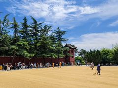 -洛阳白马寺