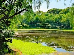 -太阳岛度假酒店