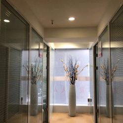 -痘院长·祛痘·皮肤管理
