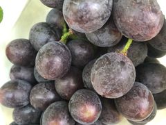 -马陆小张葡萄园农家乐