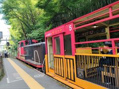 -岚山嵯峨野观光小火车