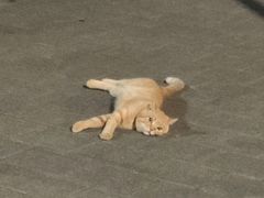 -东华大学第一食堂(松江校区店)