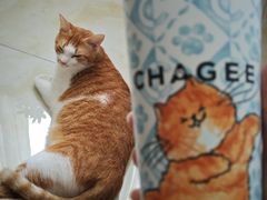 -霸王茶姬(上海恒基名人店)