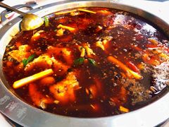 -蜀滋香鲜鱼美蛙火锅(339店)