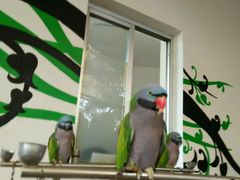 android_upload_pic-南戴河国际娱乐中心