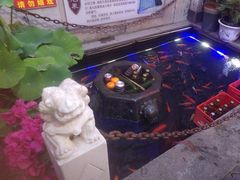 -燕喜堂·中华老字号(大明湖店)
