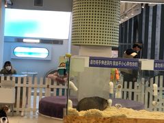 -怪兽屋·羊驼·猫咖·狗咖(俊华广场店)