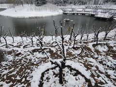 -大兴滨河森林公园