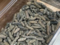 -宫品海参专卖店(静安大宁店)