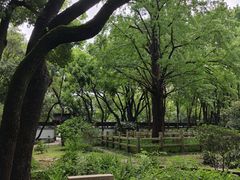 -上海方塔园