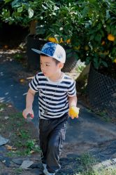 -前小桔亲子创意农场·草莓采摘·露营烧烤