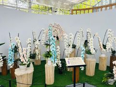 -上海鲜花港
