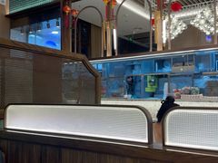 -新世界餐厅(万达店)